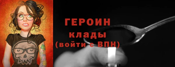 мдпв Вяземский