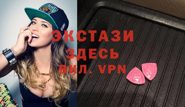 мдпв Вяземский