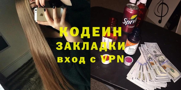 мдпв Вяземский