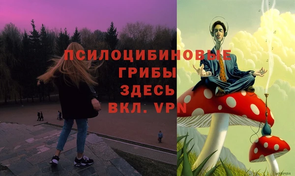 мдпв Вяземский