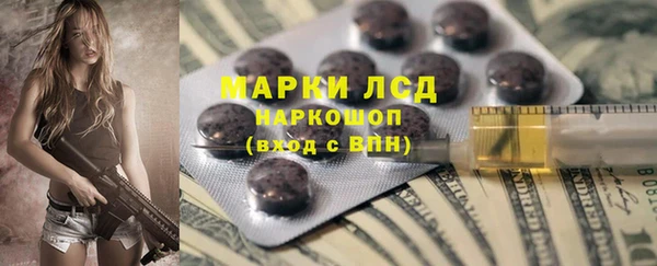 мдпв Вяземский